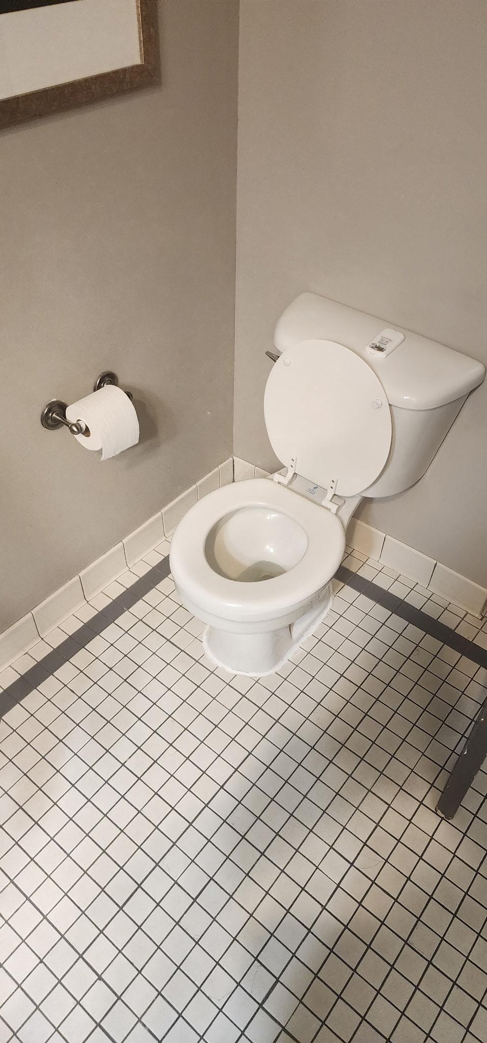 The restroom toilets were very outdated.