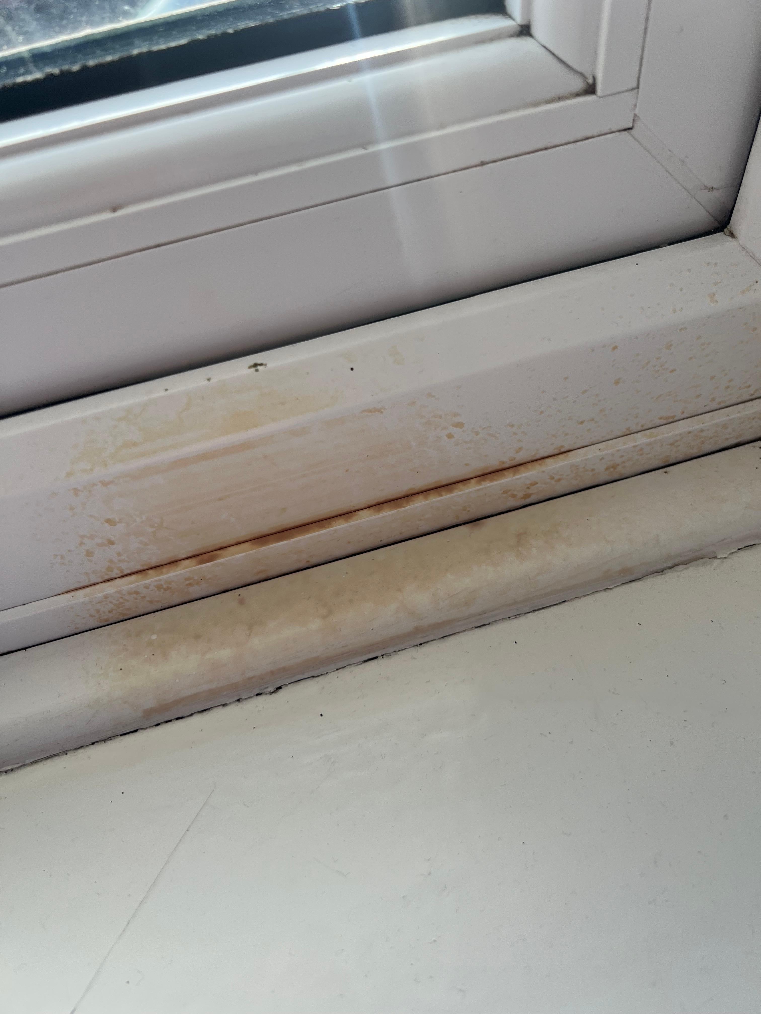 Yellow stains