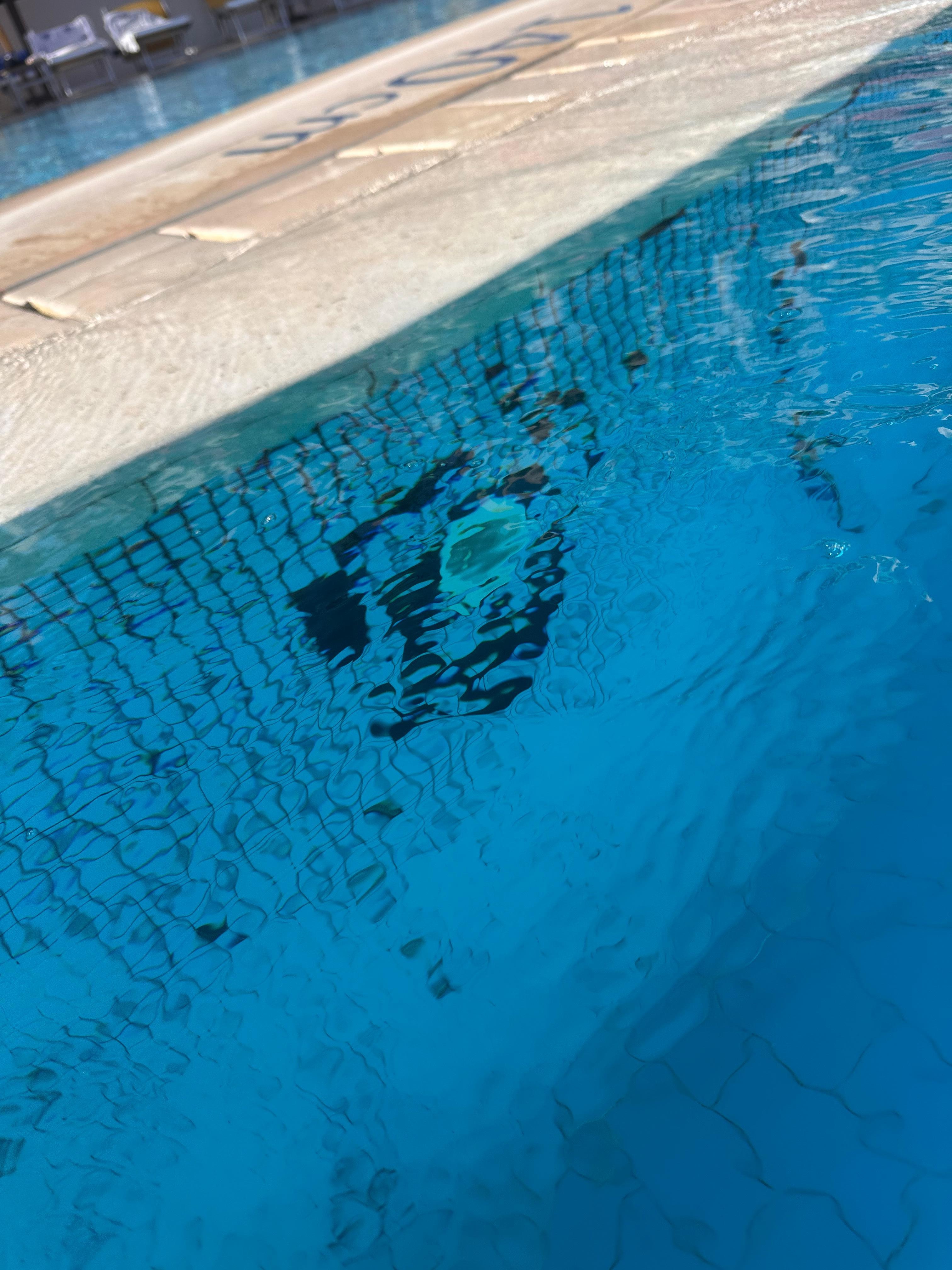 Pool maintenance: Loose tiles with dirty glue residue around the pool. 