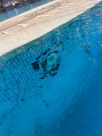 Pool maintenance: Loose tiles with dirty glue residue around the pool.