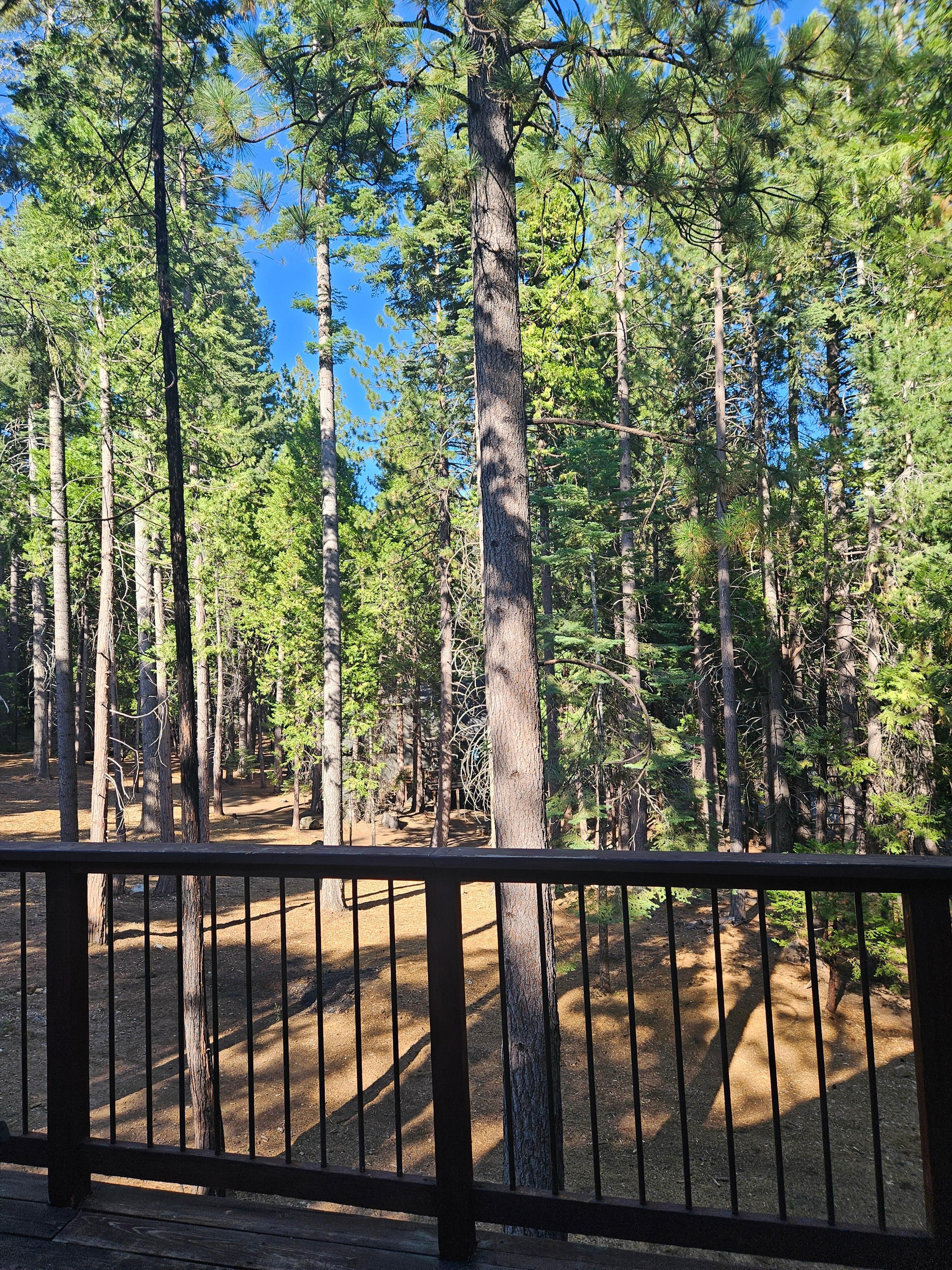 View out from the deck
