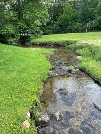 Brook behind the cabin