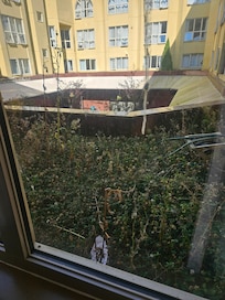 Bird poop on the window, accompanied by weeds and someone's underwear outside