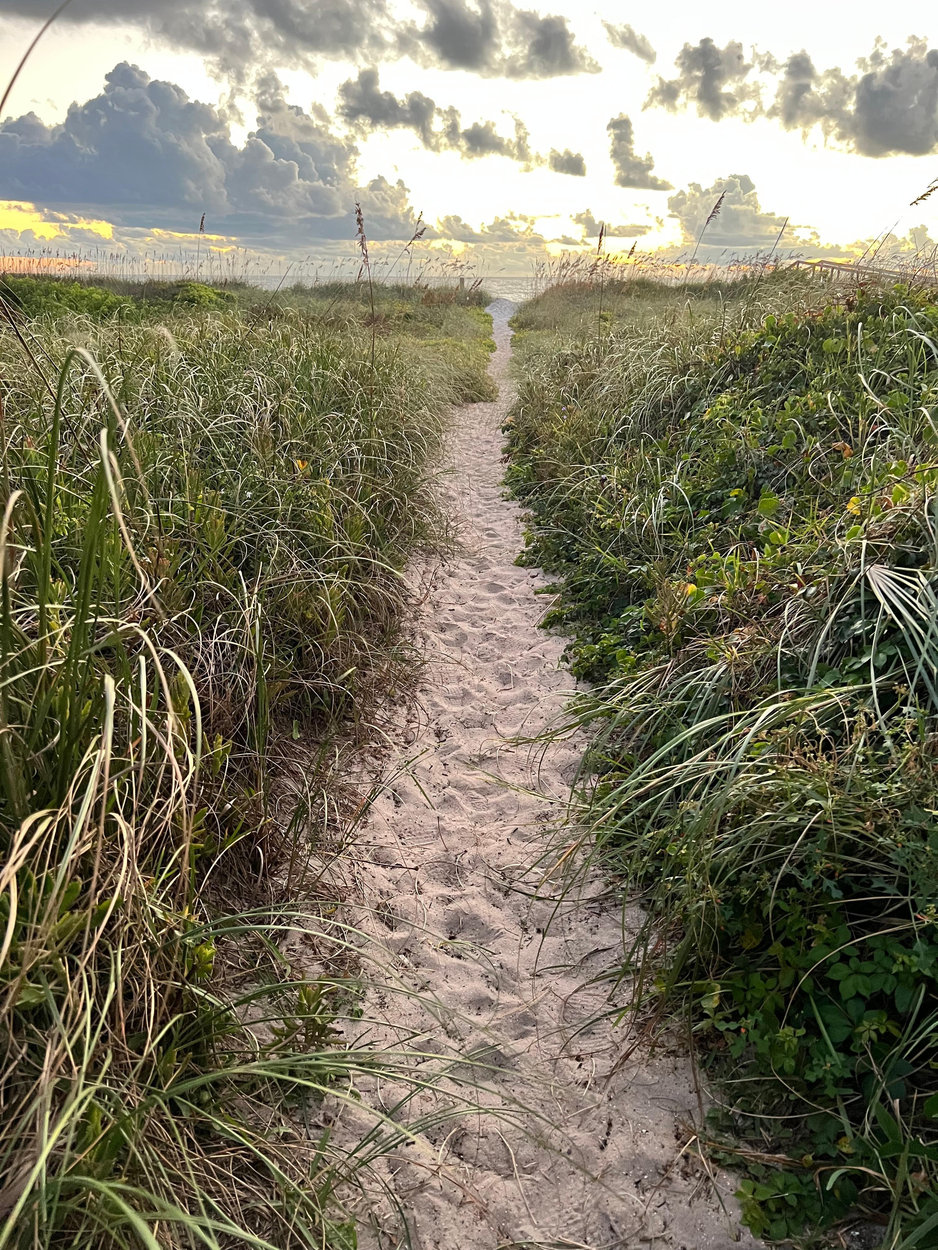 Path to the beach, so close to cottage 