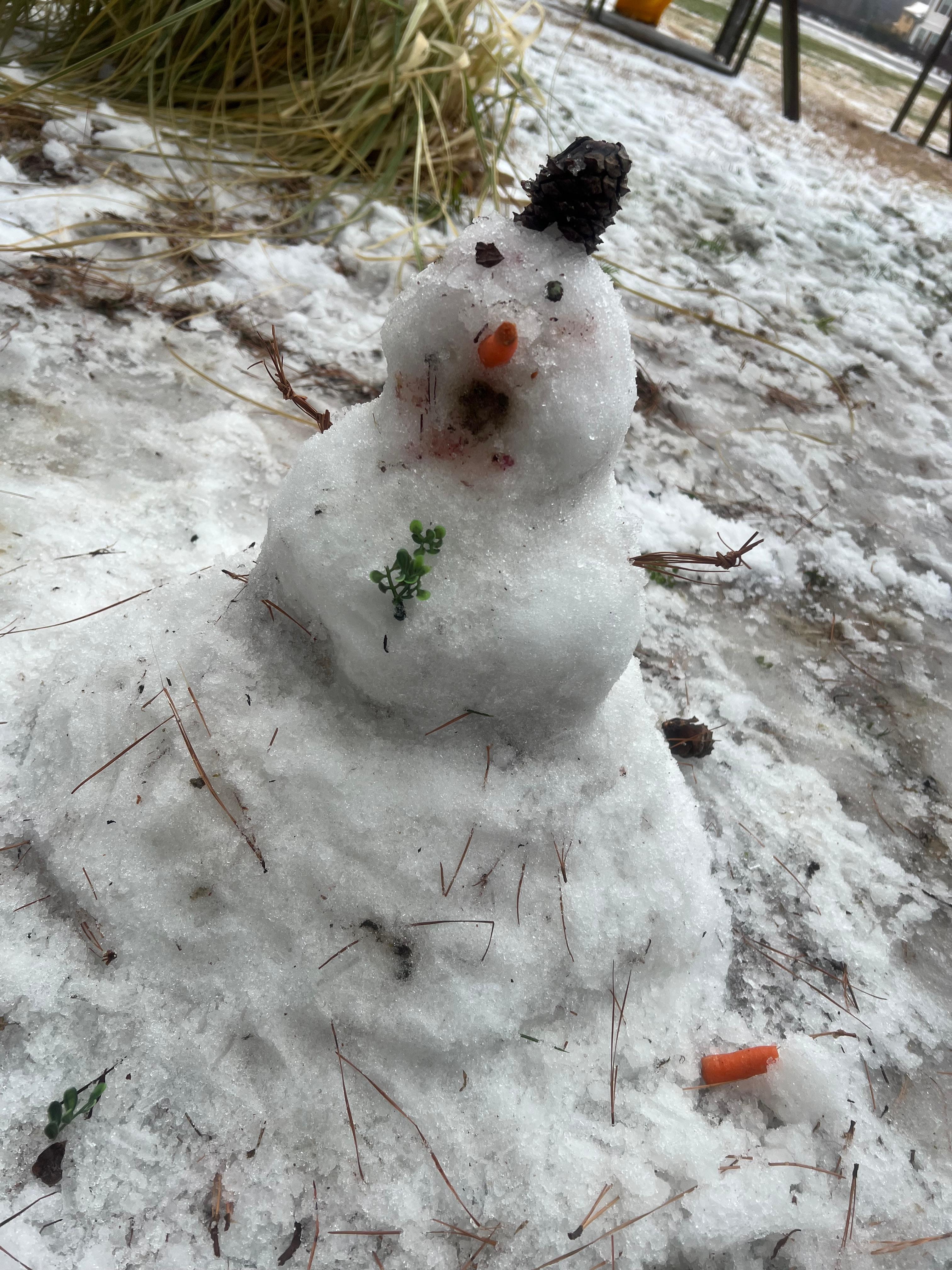 We made a tiny snowman and the kids had fun playing on the swing set