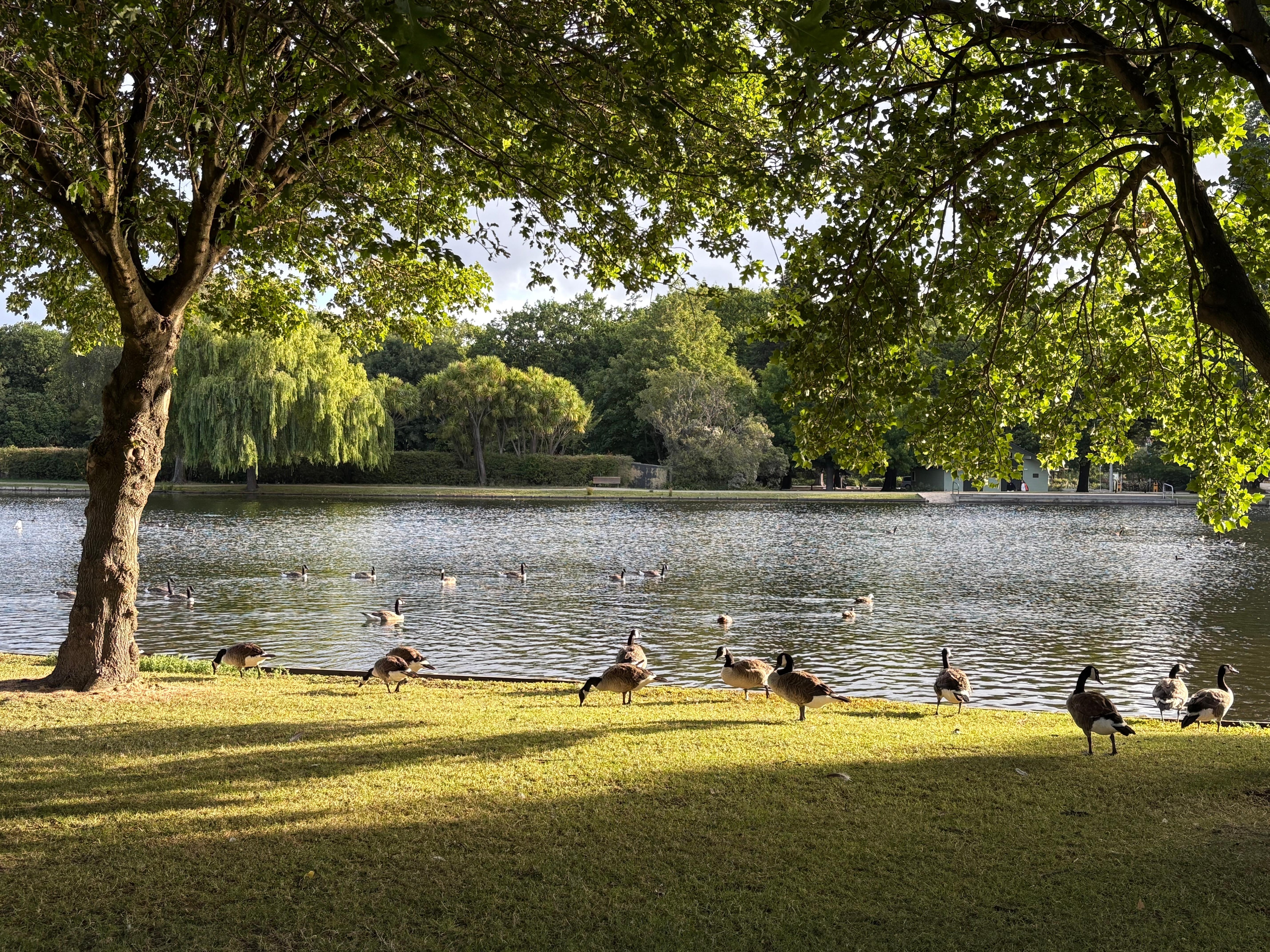 Hagley Park lakes