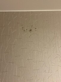 Mold in bathroom