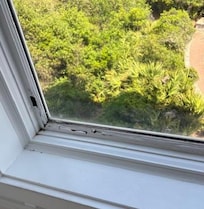 Rotting wood and peeling paint