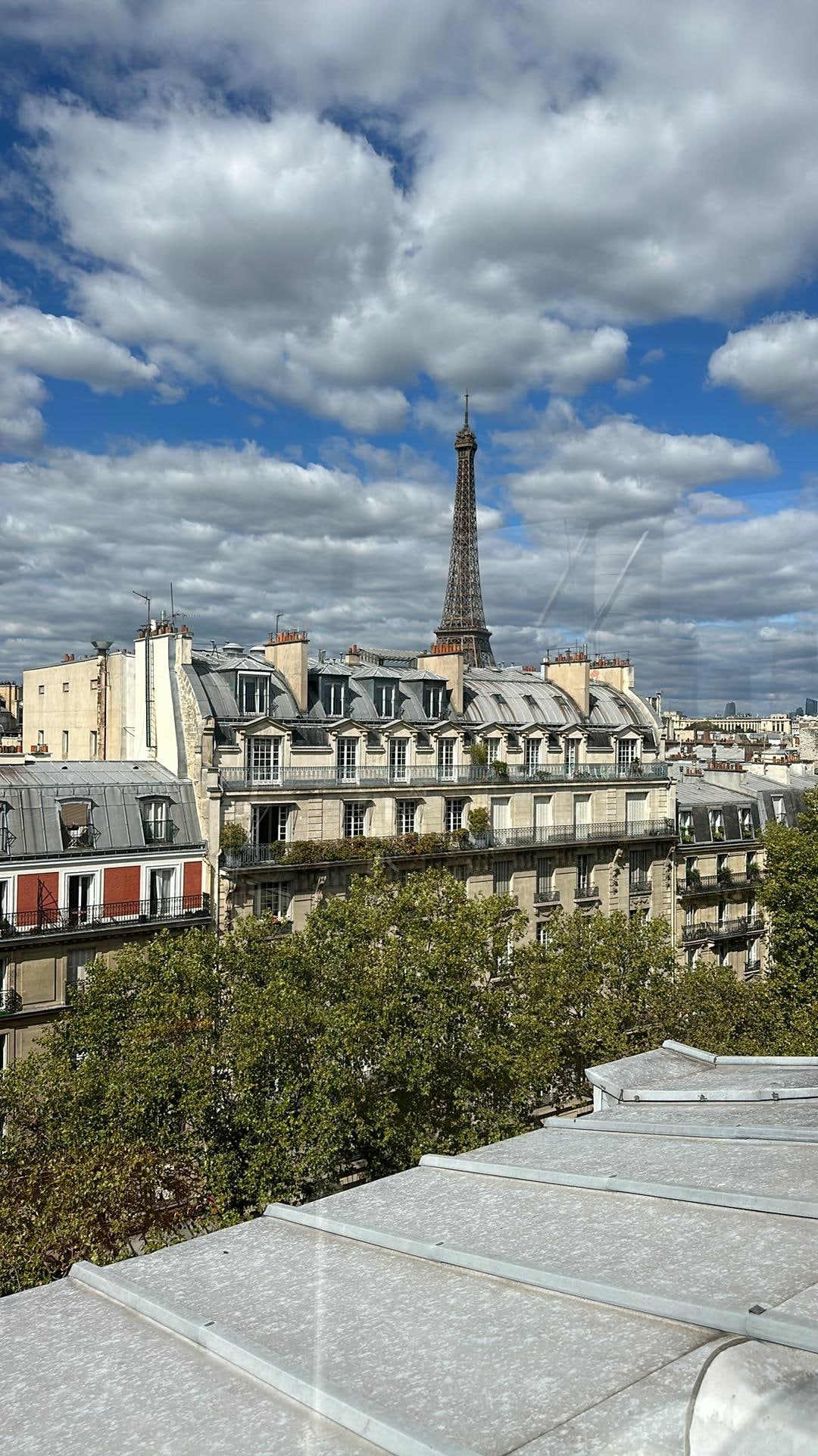 View from the rooftop at Rayz Eiffel