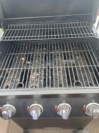 Grill filthy