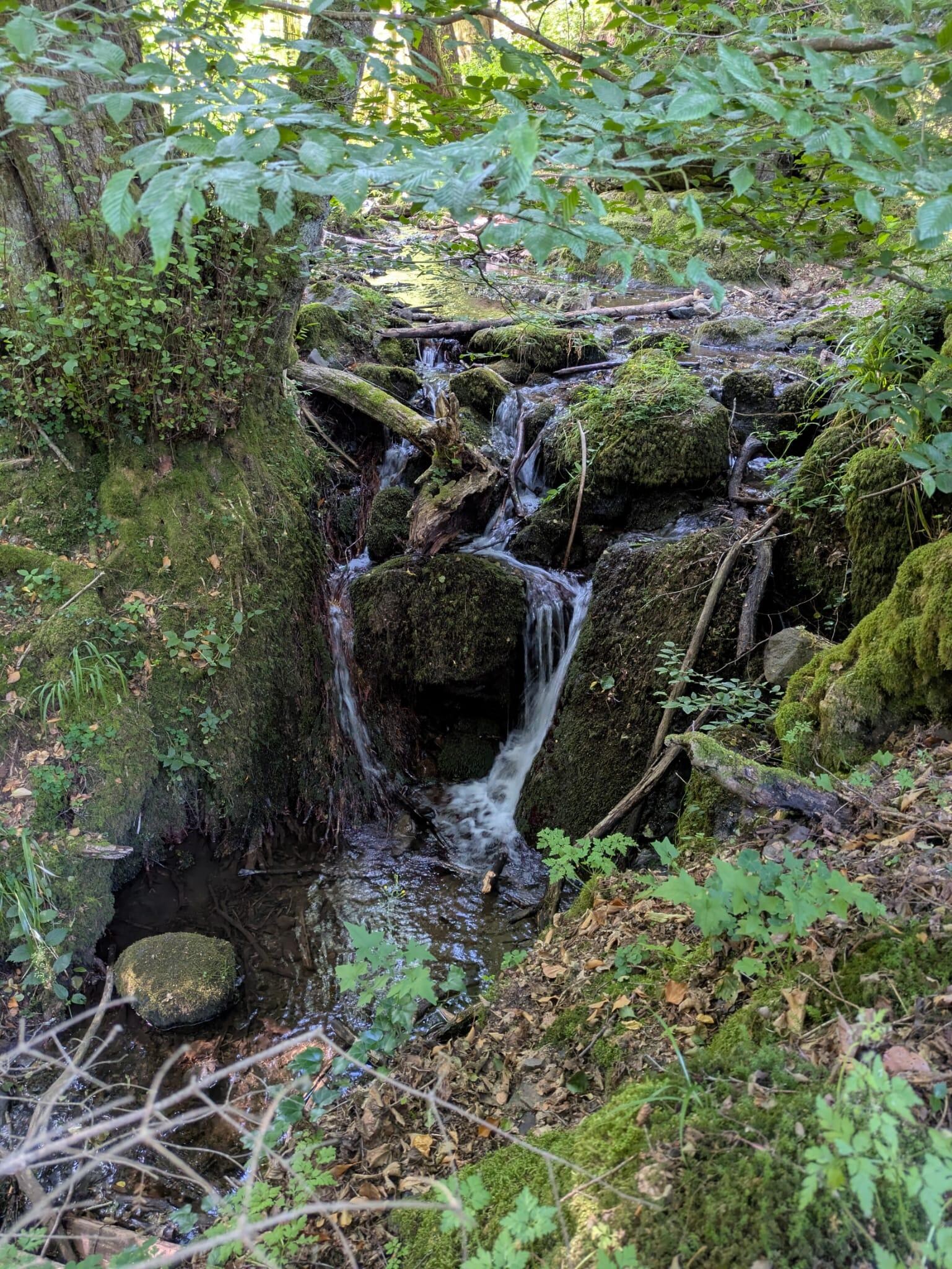 Bubalafels Wasserfall