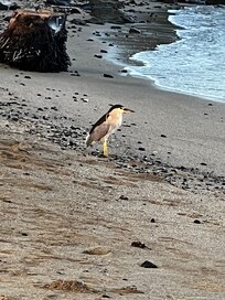 Beach at A-Bay