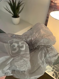 Ball of hair when I walked about 4 steps into main floor master