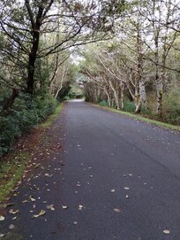 Walk to the beach