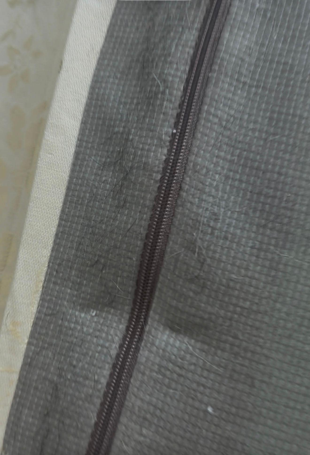 Dog hair on pullout couch that flew all over in the air every time you pulled the couch out. 