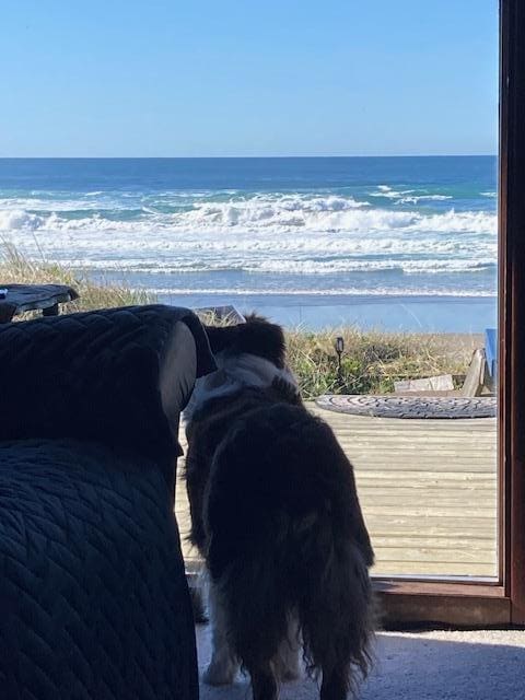 Allie also viewing the ocean waves