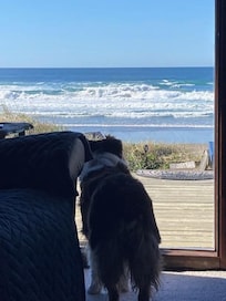 Allie also viewing the ocean waves