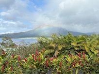Gorgeous view of the volcano from the deck.