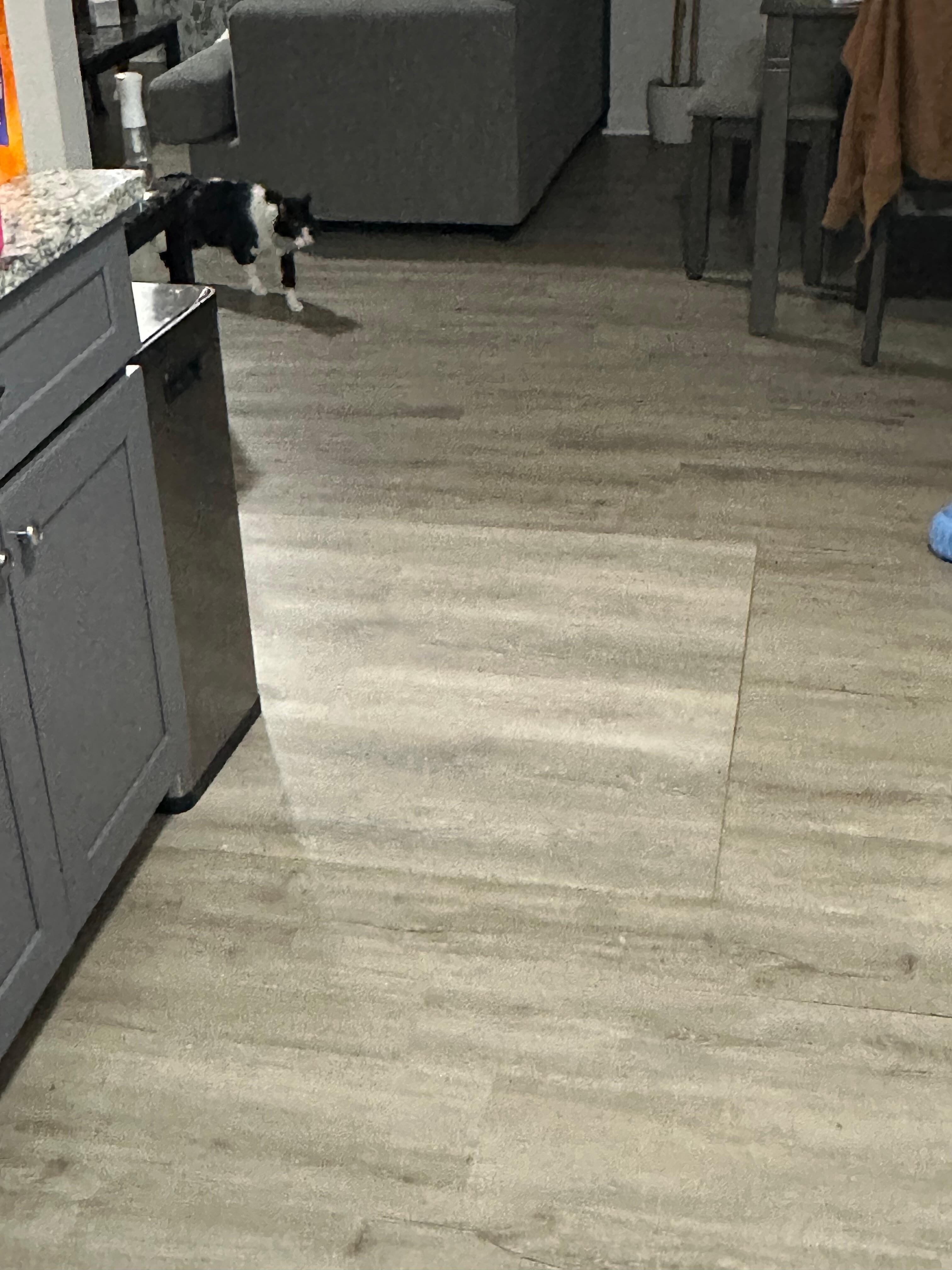 Patched floors and the floor is soggy and squishy.