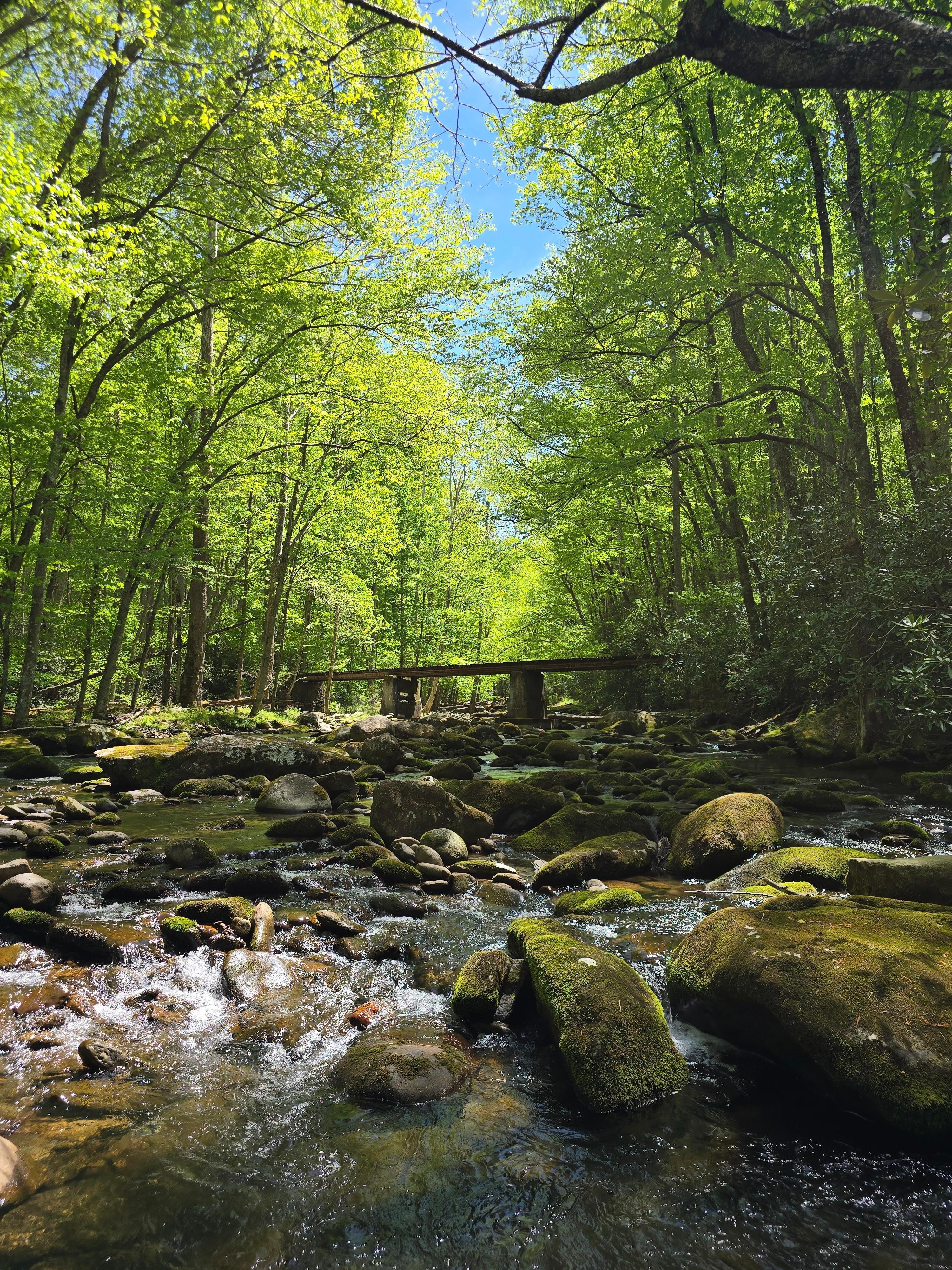 Old railroad bridge over the Little River.