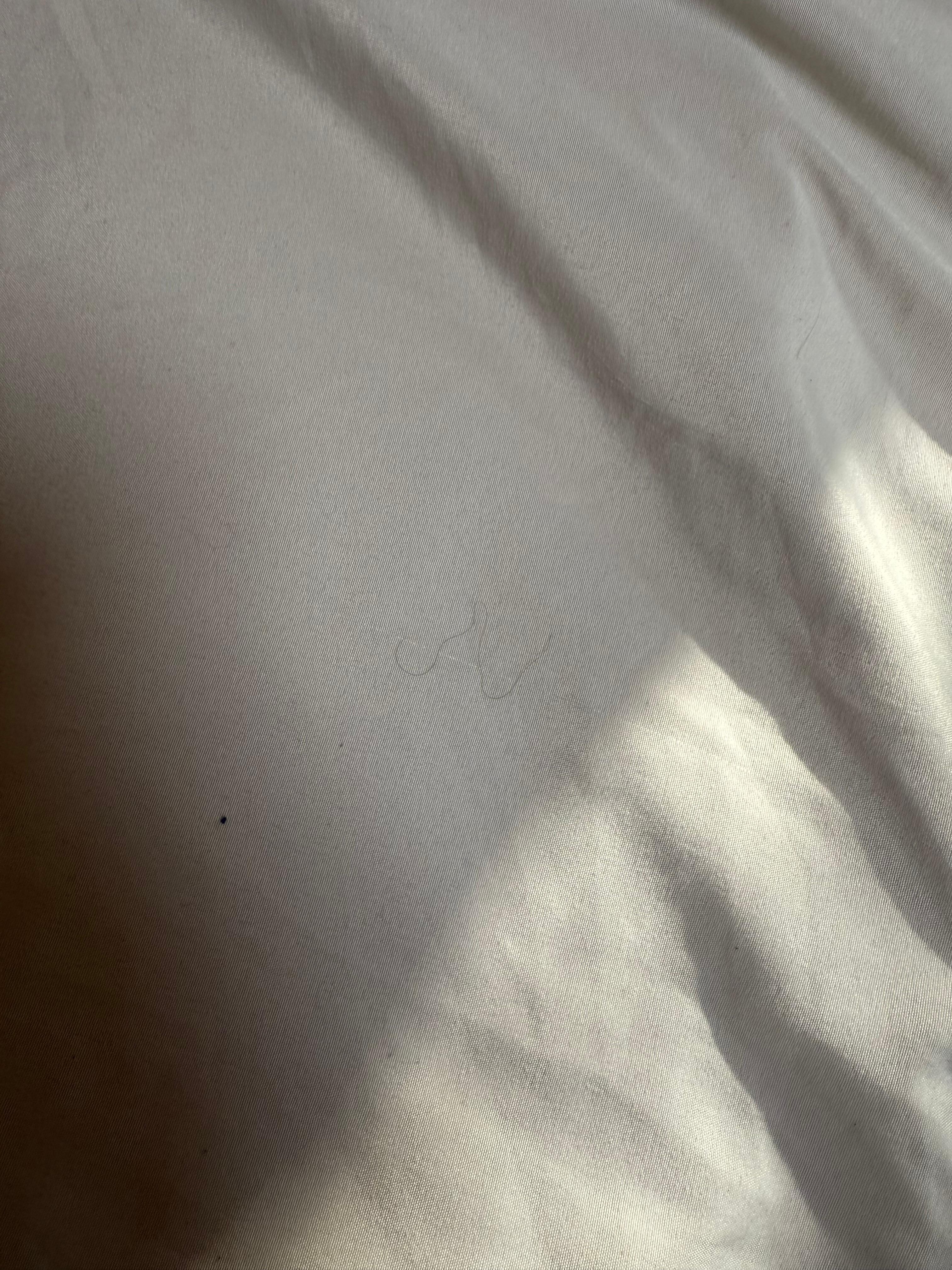 Random peoples hairs we found on our sheets (x1)