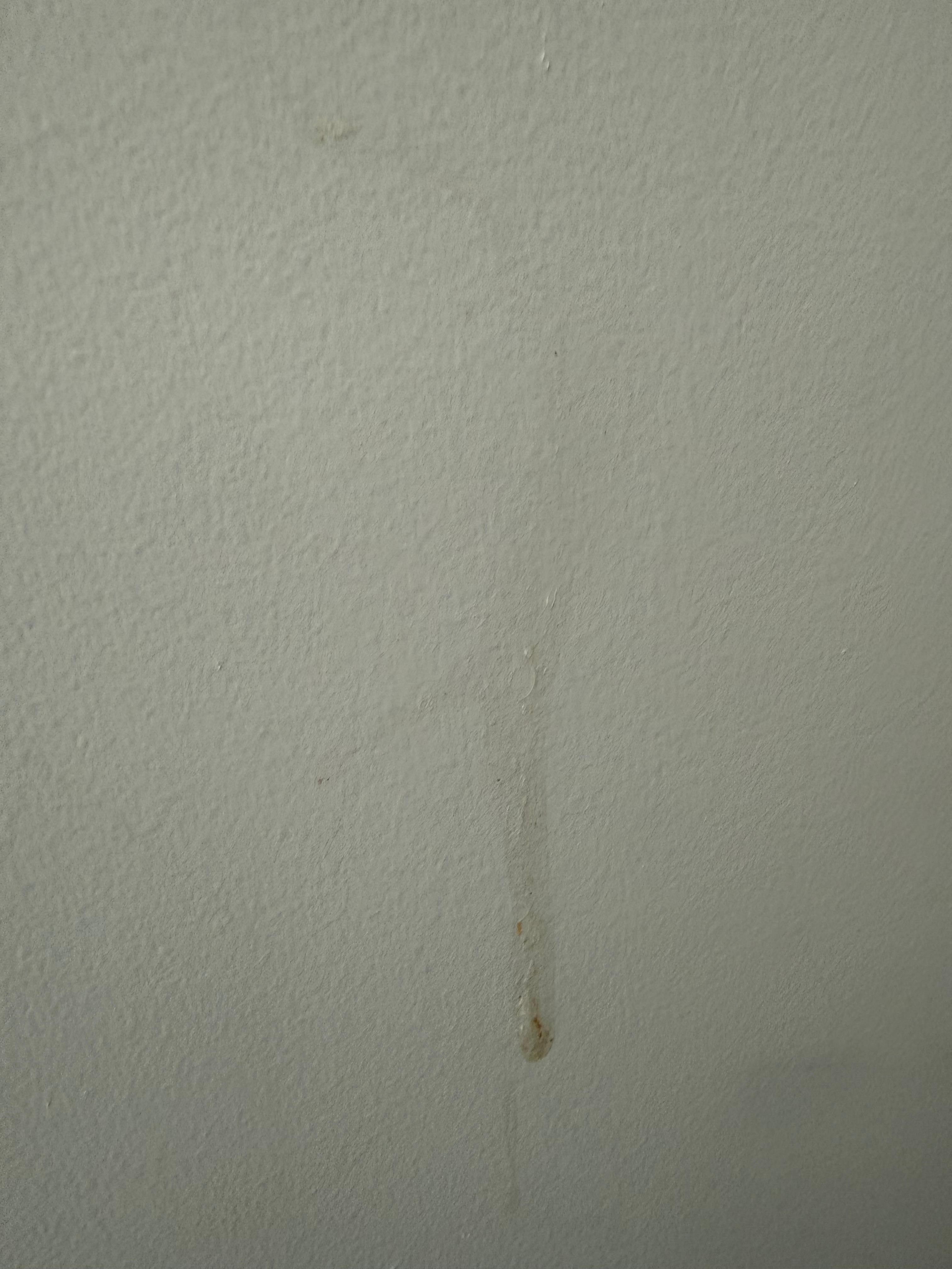 Stain on the walls