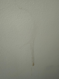 Stain on the walls