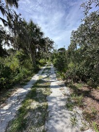 Just inside the gate of the property looking towards the home