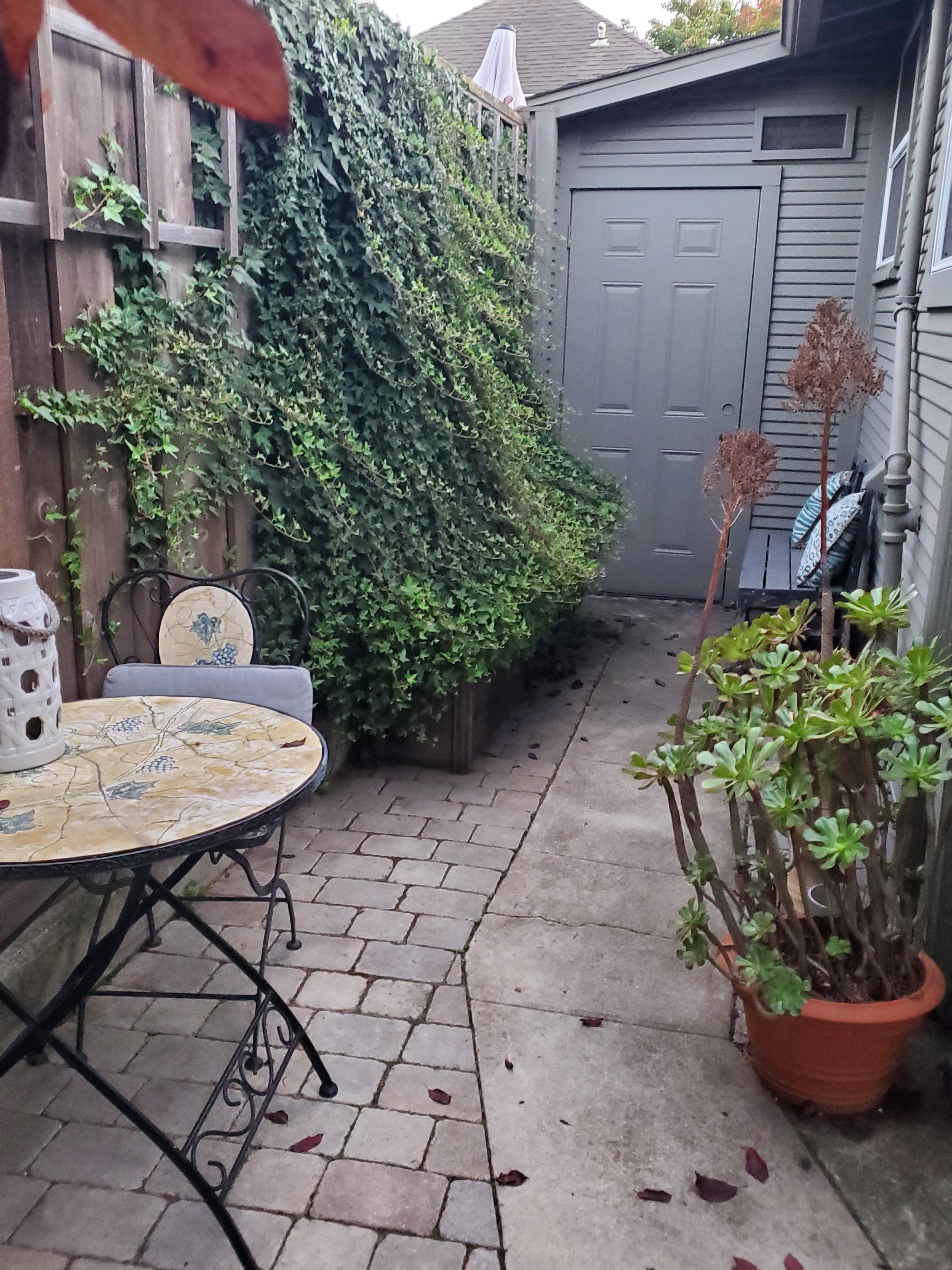 Another view from my garden chair.