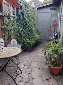 Another view from my garden chair.