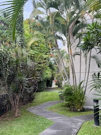Behind Condo