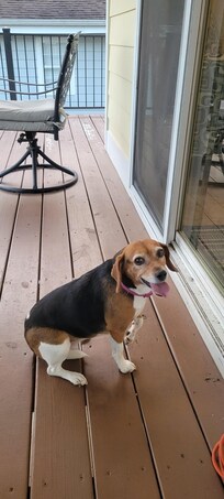 Tater.