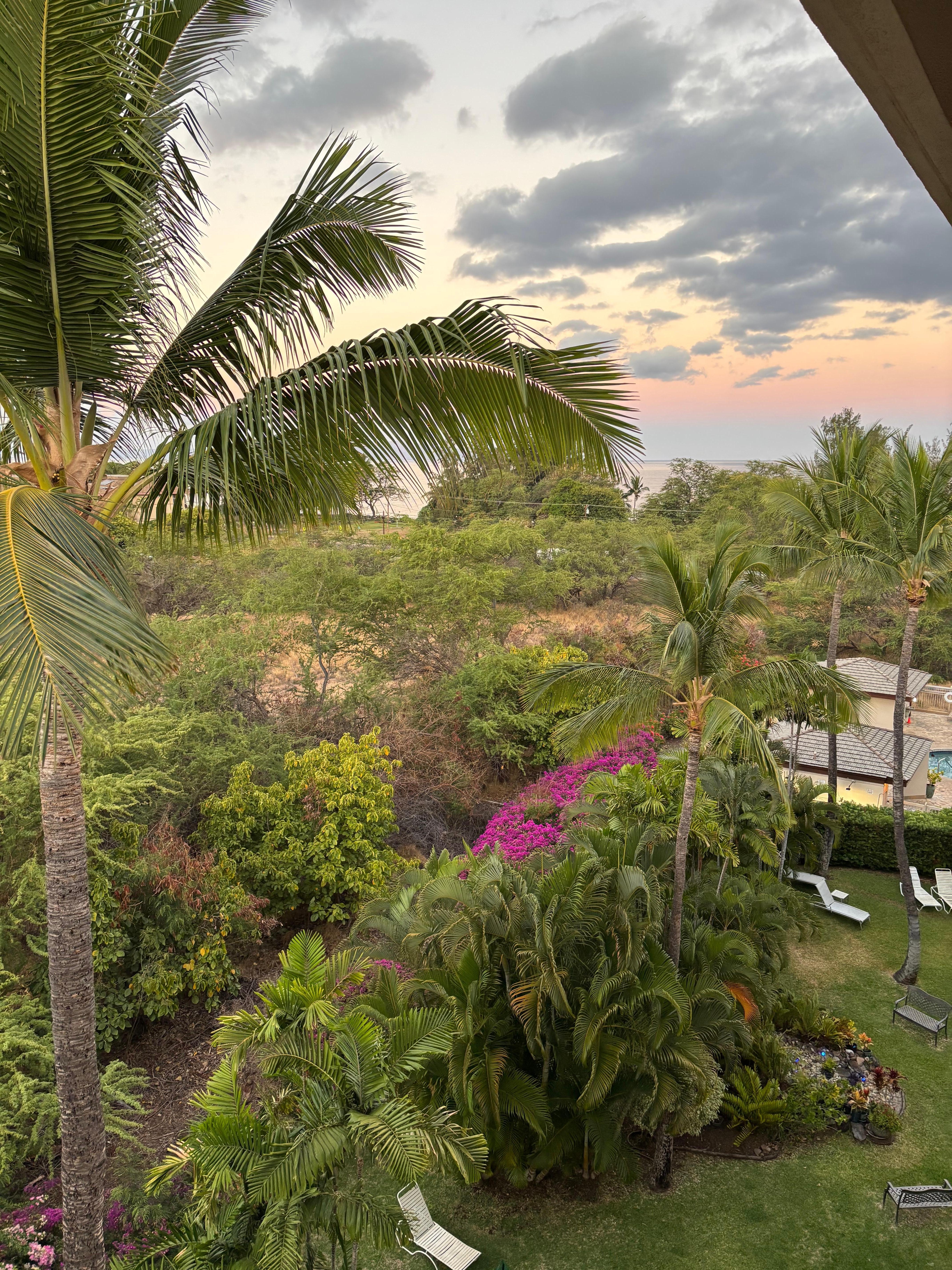 View from our room