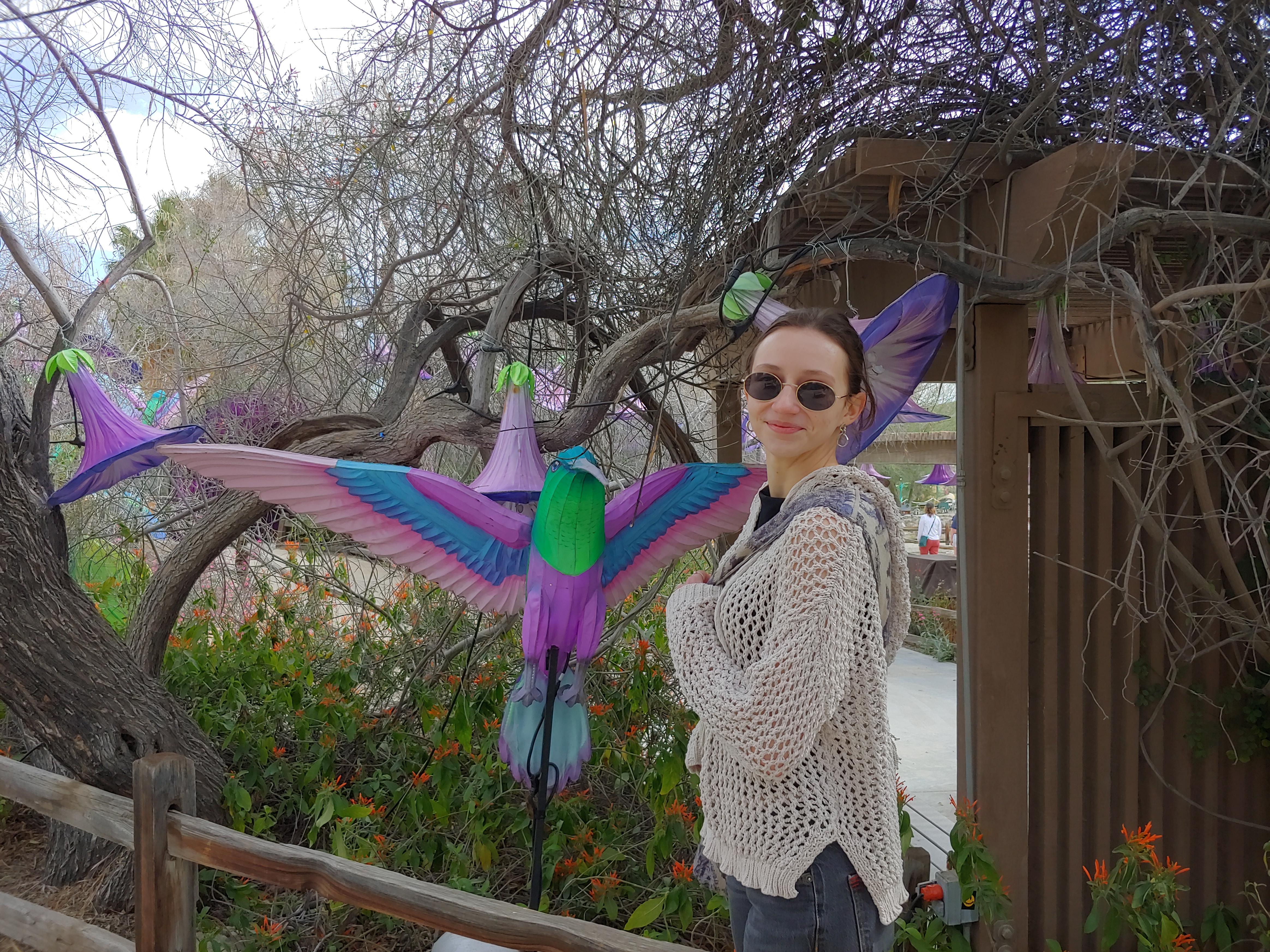 Lights at the Living Desert