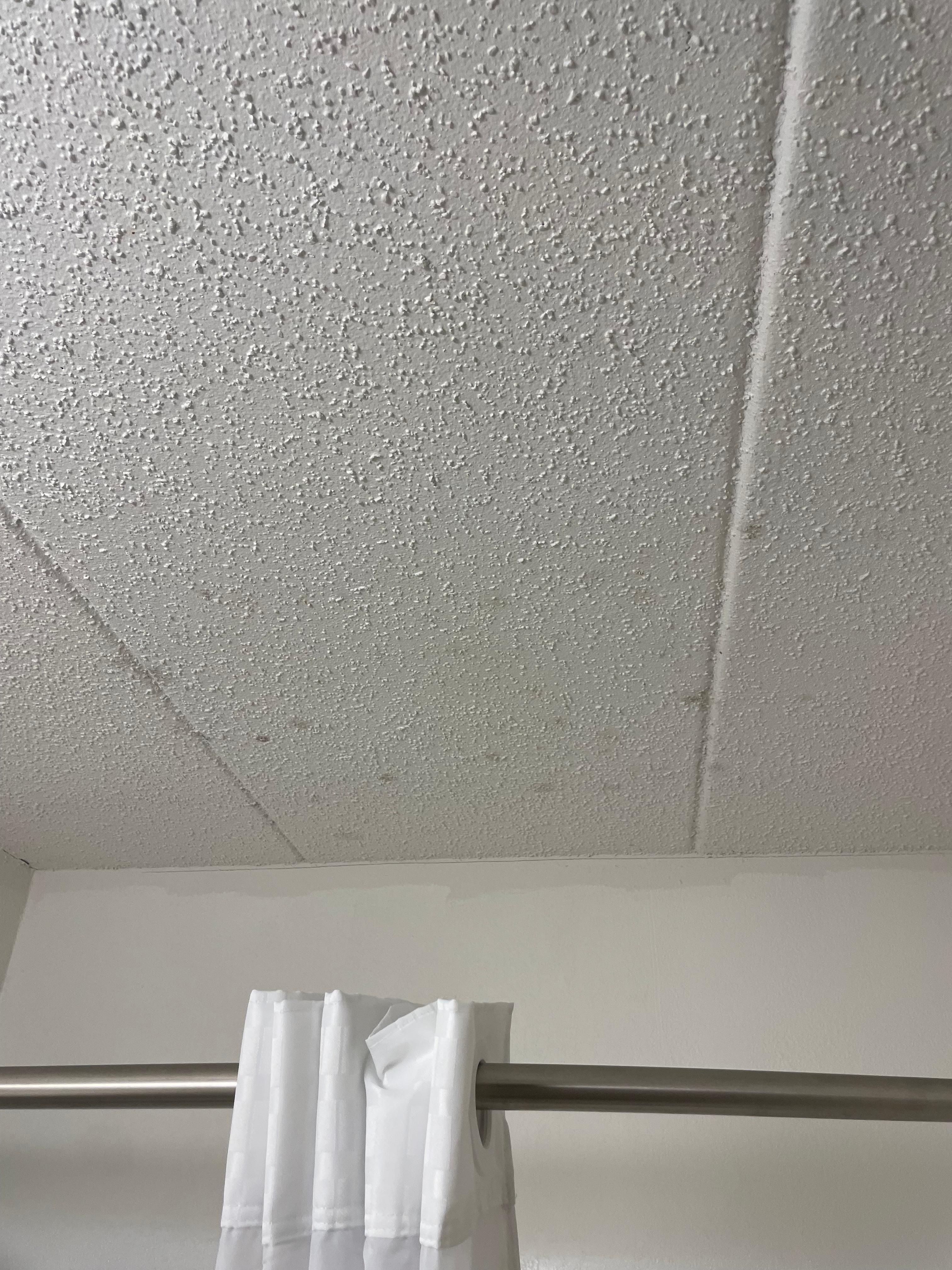 Bathroom ceiling had moldy spots from no vent fan