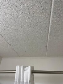 Bathroom ceiling had moldy spots from no vent fan