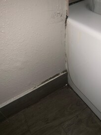 Mold in the bathroom