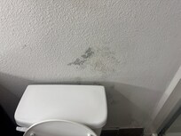 Mildew behind toilet