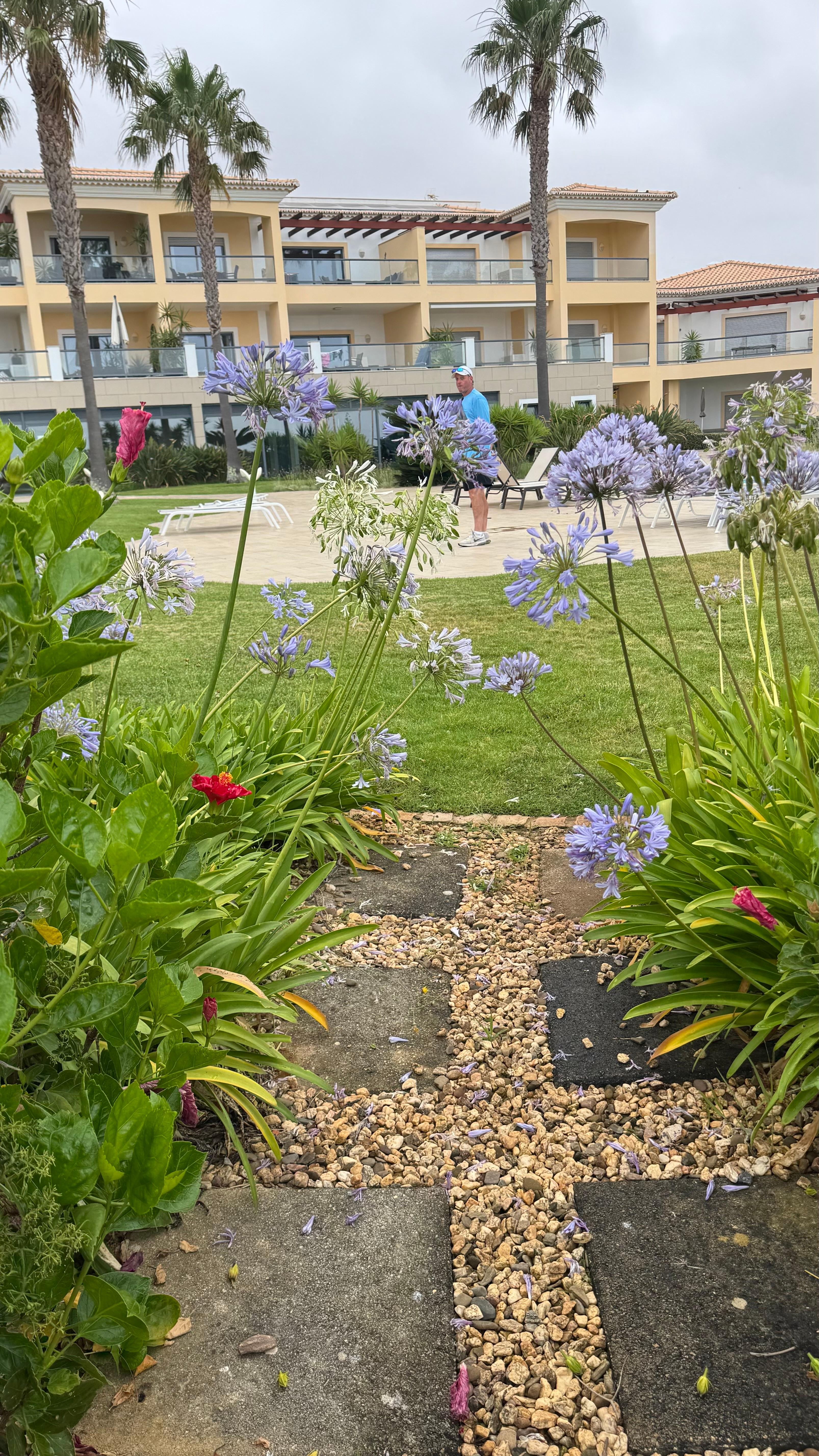 View from the pool garden area. 