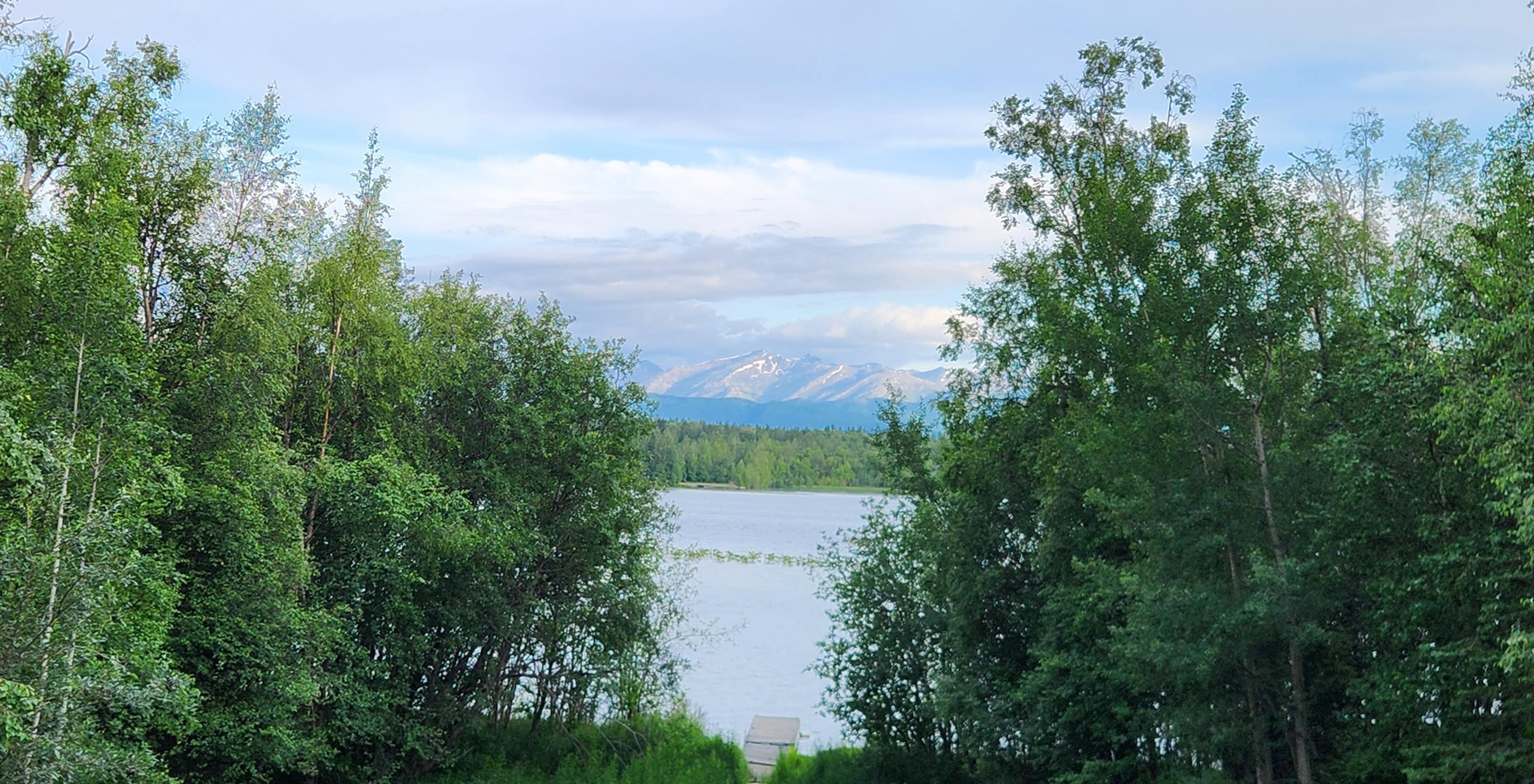 View from deck