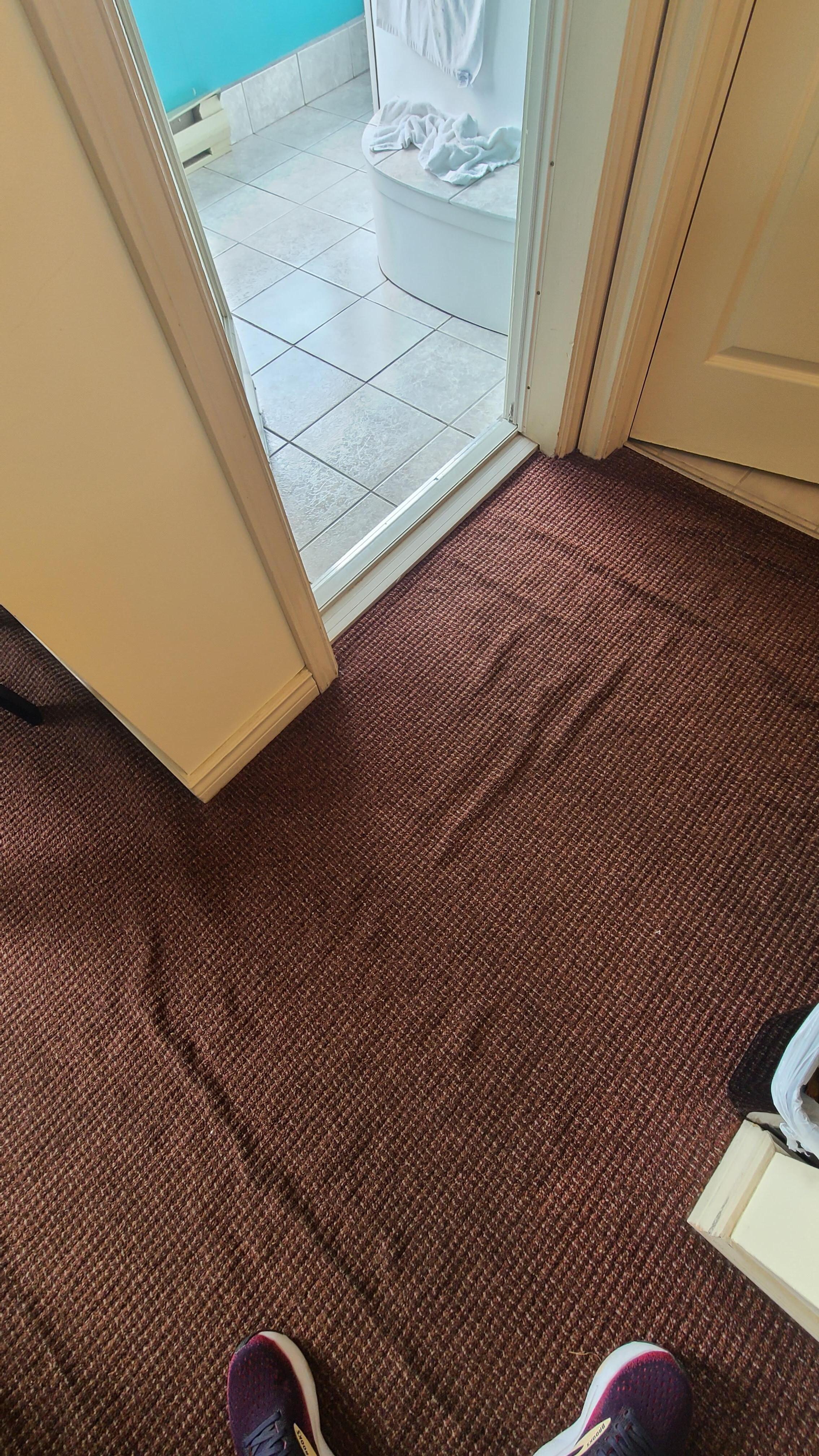 Carpet