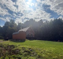 The cozy little cabin in the woods