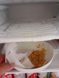 Food in the fridge