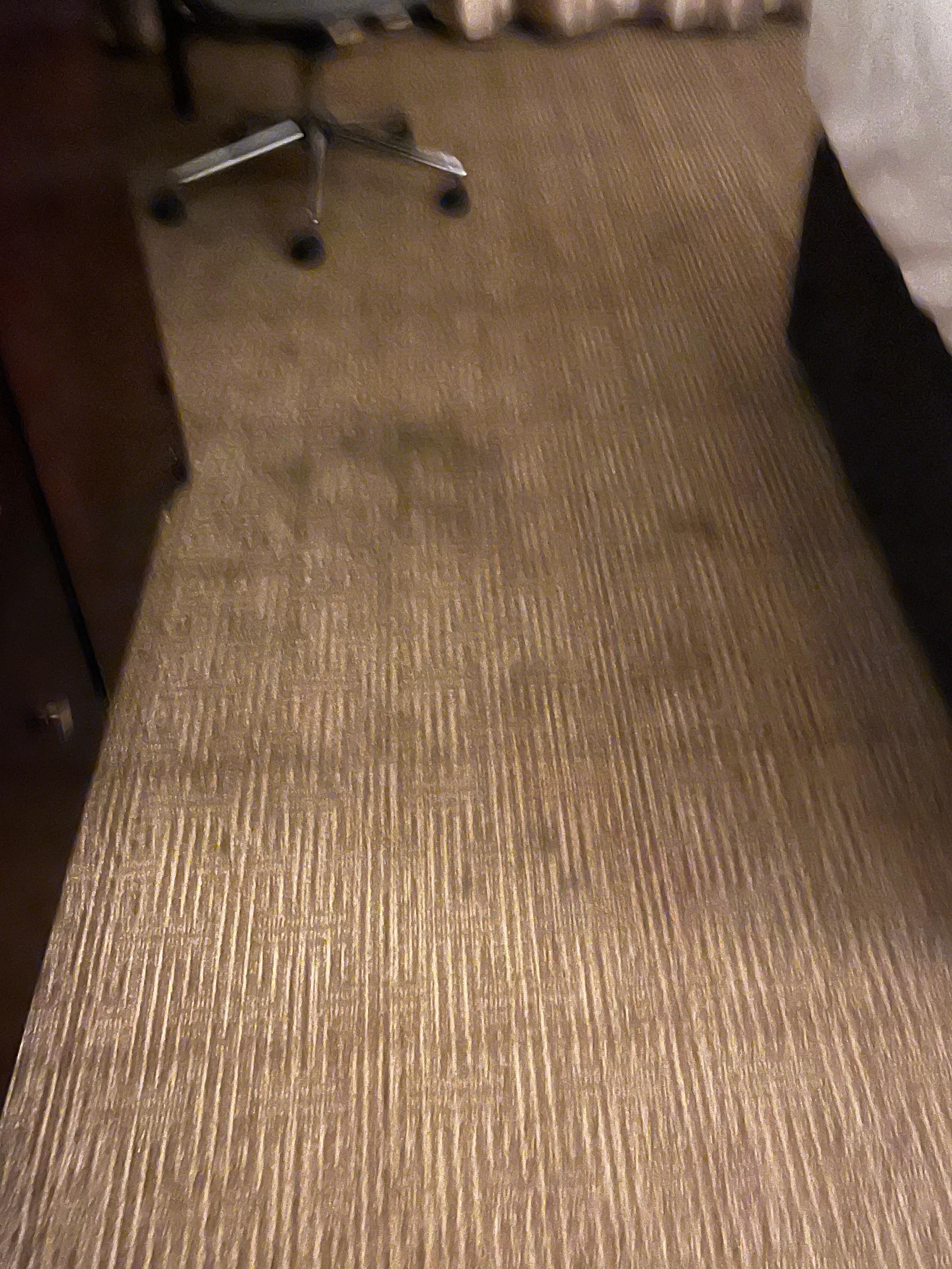 One of the many stains on the carpet 