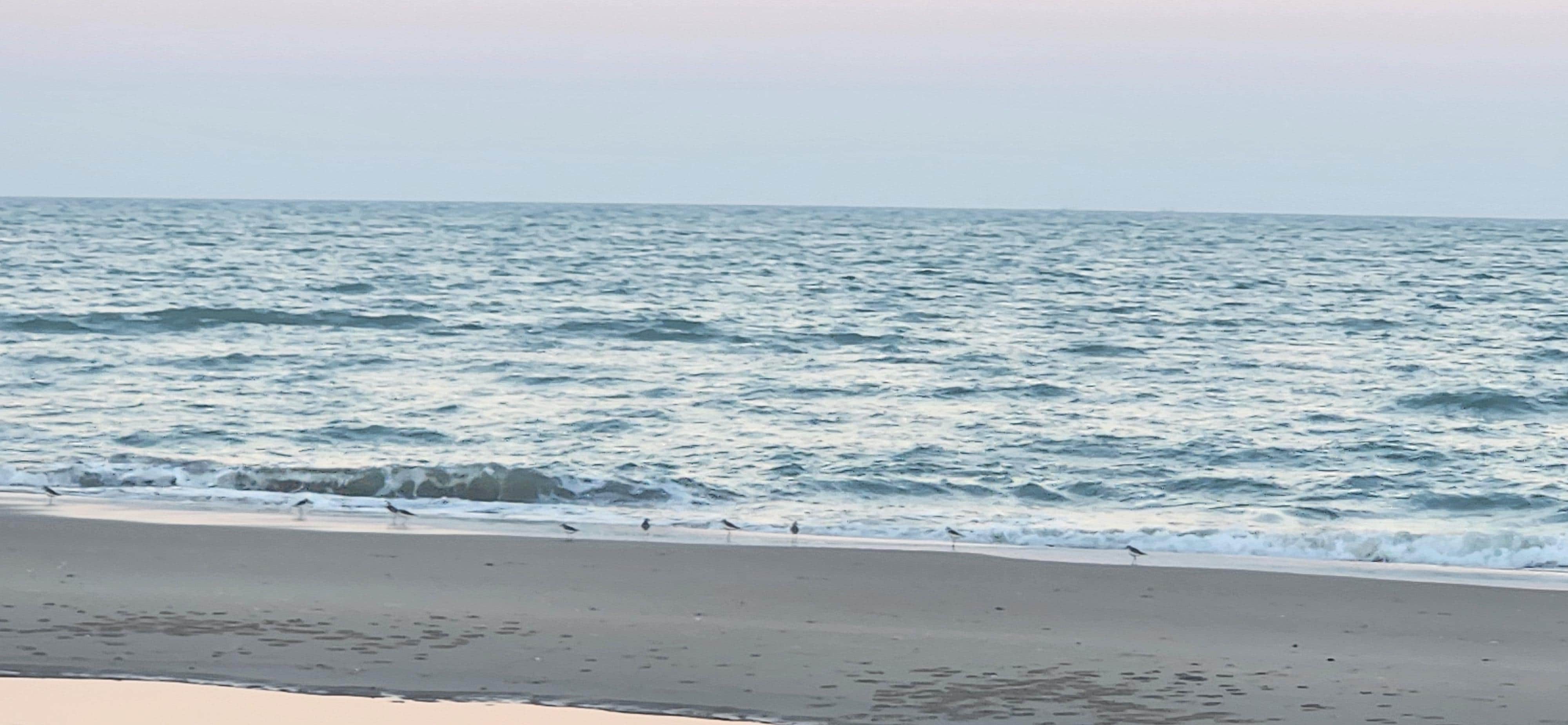 The long stretch of beach
