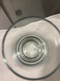 Ants in water glass
