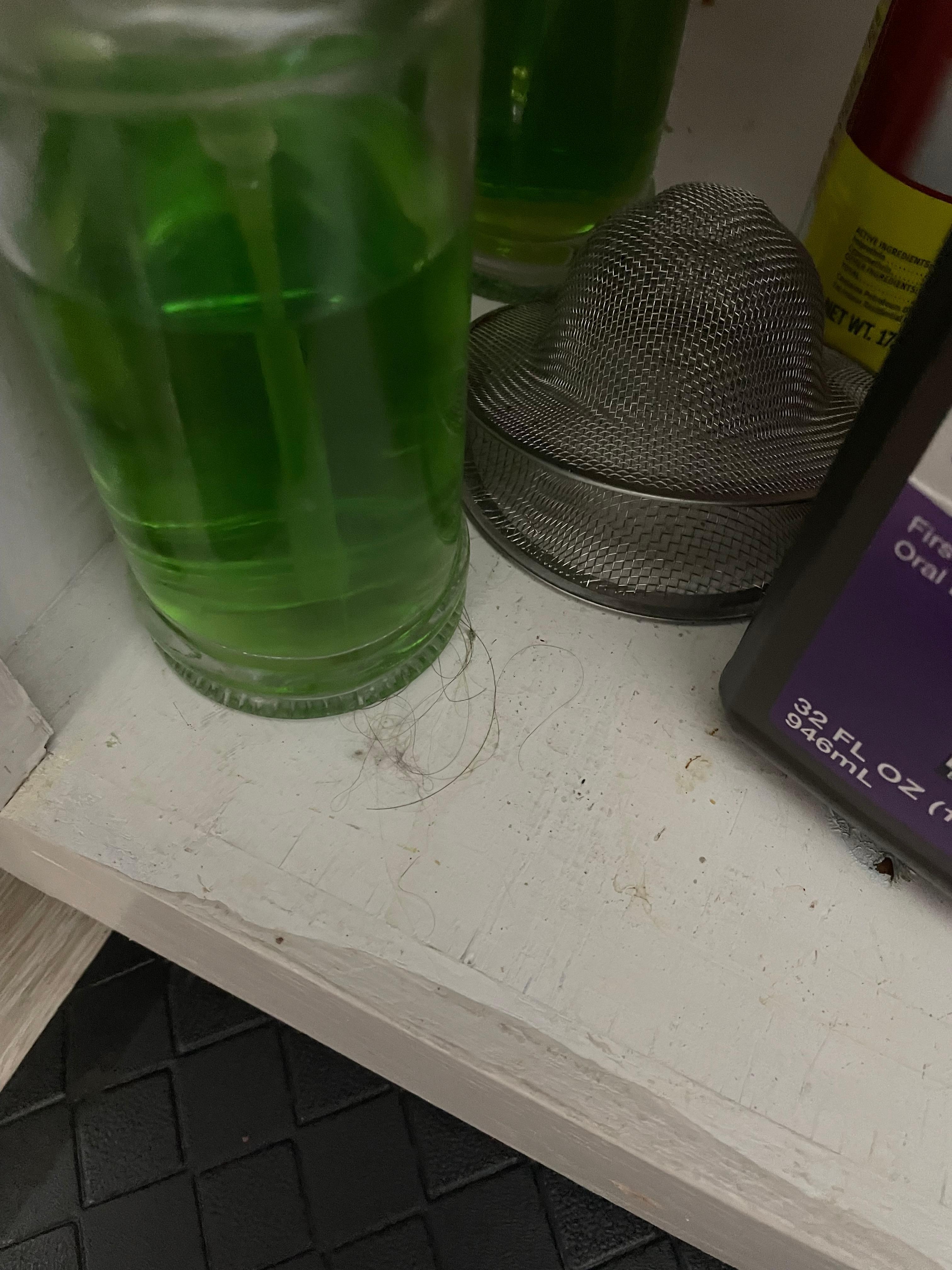 Under the kitchen sink