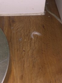 Dust, hair, dirt, stains, etc. in the kitchen