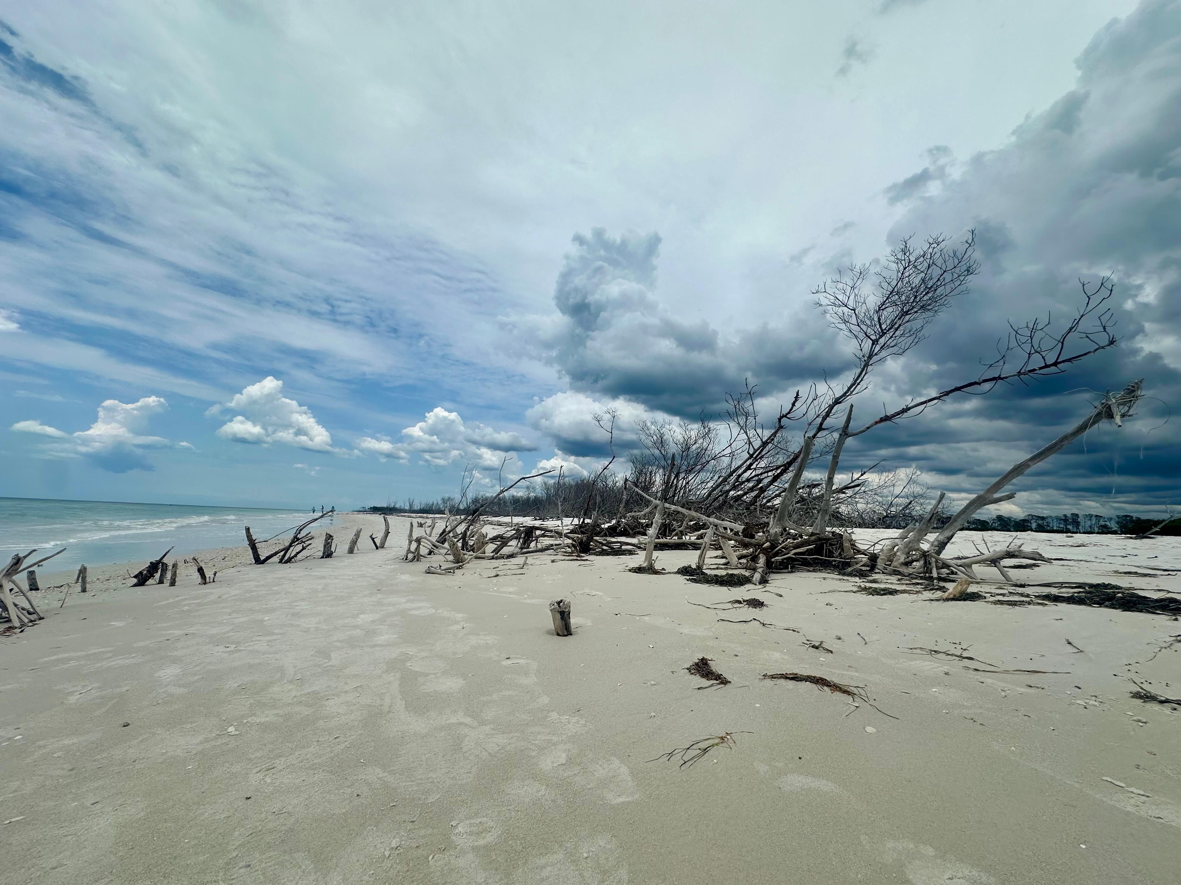 Honeymoon beach