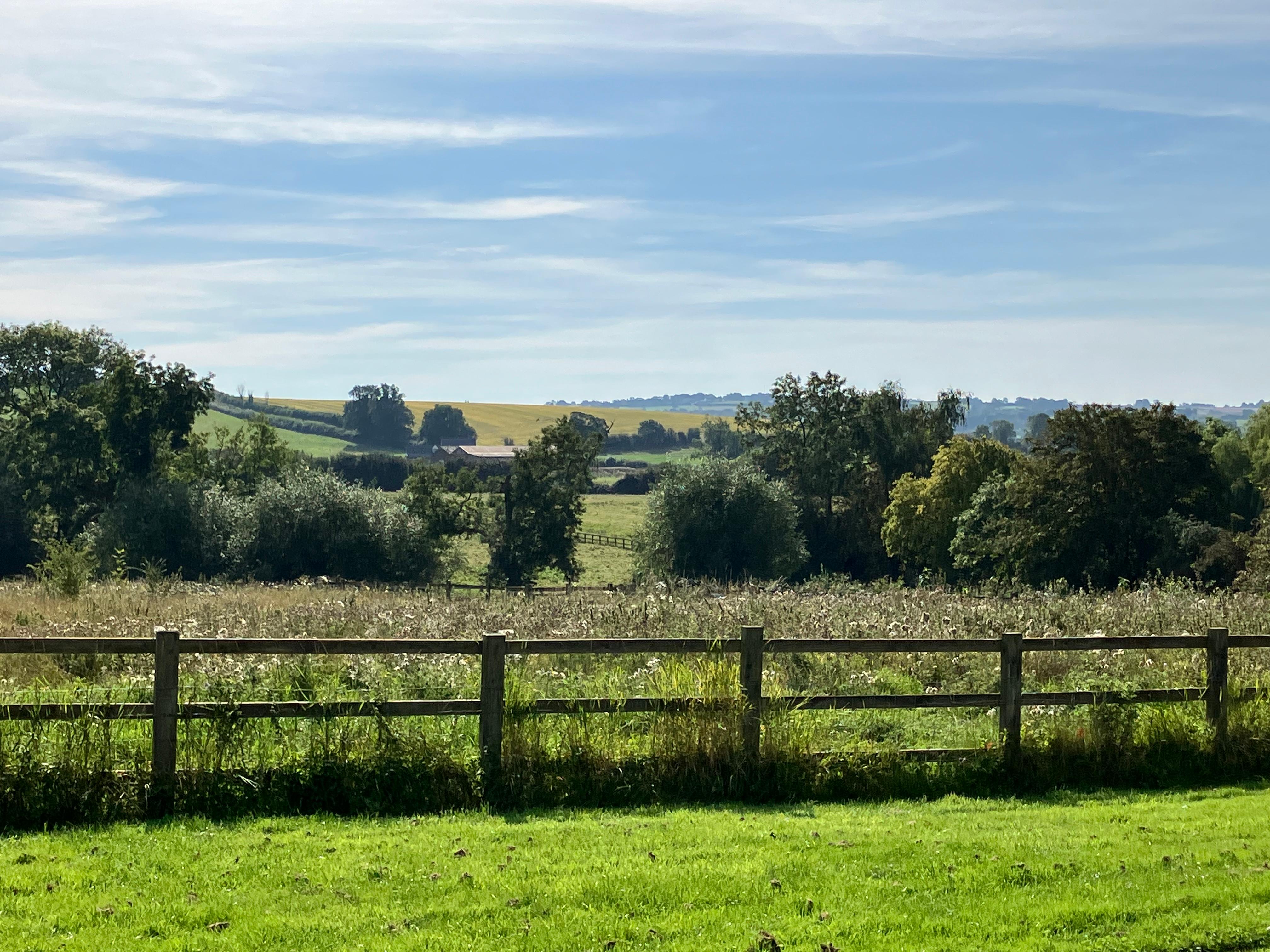 The view out over the fields 